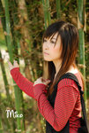 DSC_1671 miko