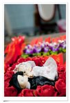 20090328_3 (11)