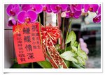 20090328_3 (22)