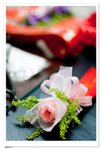 20090328_3 (7)