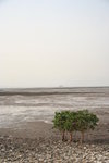 IMG_3744