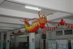 Dragon (3)