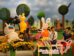 TVB (4)