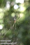 IMG_5616w