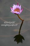105_0536_r1