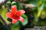 IMG_9600q