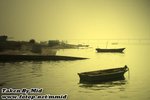 IMG_0001