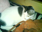 DSC00265