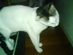 DSC00270