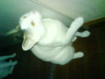 DSC00275
