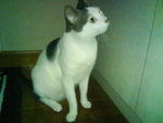 DSC00278