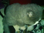 DSC00299