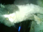 DSC00332