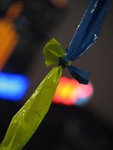 IMG_3452