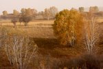 IMG_8893