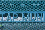 IMG_7254