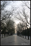 beijing2020