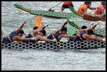 dragonboat10