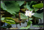 green01