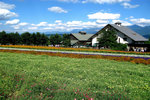 hokkaido042