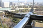 kansai0054