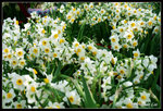 victoriapark213