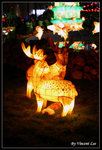 victoriapark314