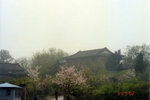 nanjing01