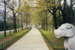 nanjing08