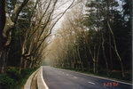 nanjing11