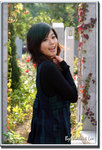 stella04