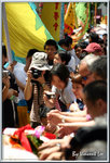 tkf016