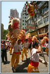 tkf019