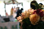 IMG_0908