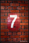 cps08