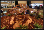 dinosaur12