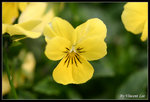 fs04