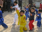henan016