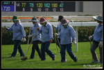 shatin017