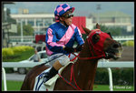 shatin018
