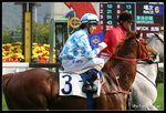 shatin019