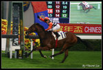 shatin033