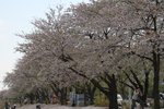 IMG_5756