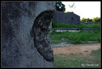 lungfushan06