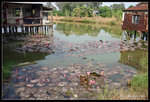 namsangwai06