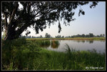 namsangwai08