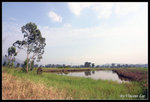 namsangwai09