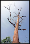 namsangwai10