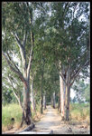 namsangwai12