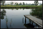 namsangwai14